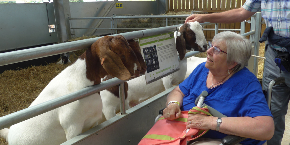 Box, Colerne and Rudloe Link - People and Places